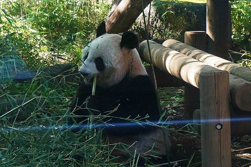 【 ｊｊｊ 】　「たばこ」じやーないよ