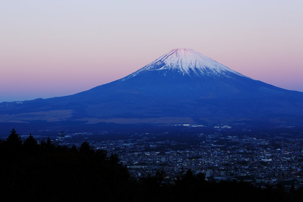 朝一の富士さん