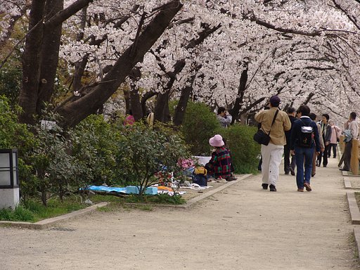 日曜日は沢山の人出なり