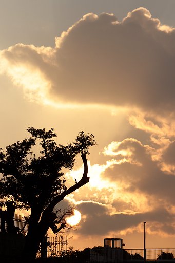【師走】夕陽