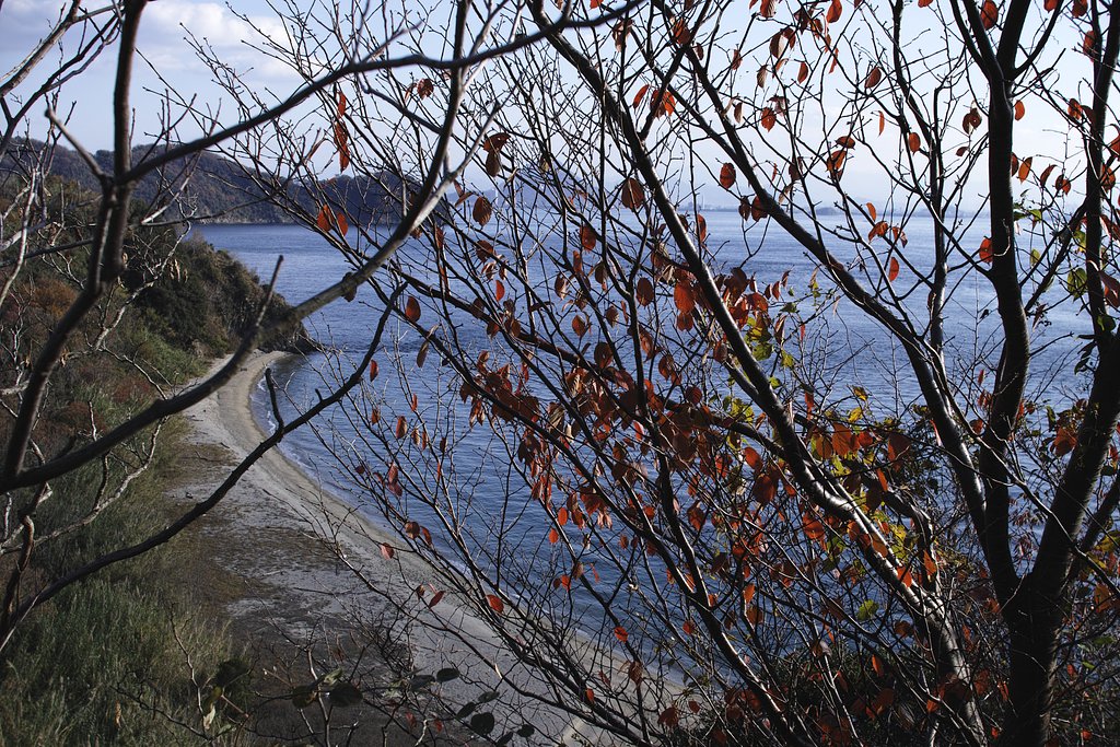 瀬戸の内海