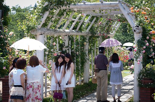 夏の日差し