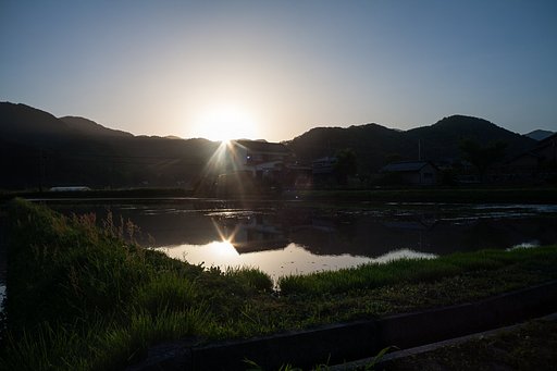 強力な朝日の出。