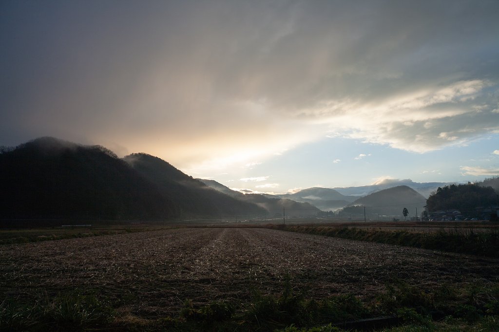朝日の出後雨・・。