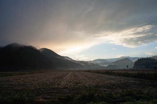 朝日の出後雨・・。