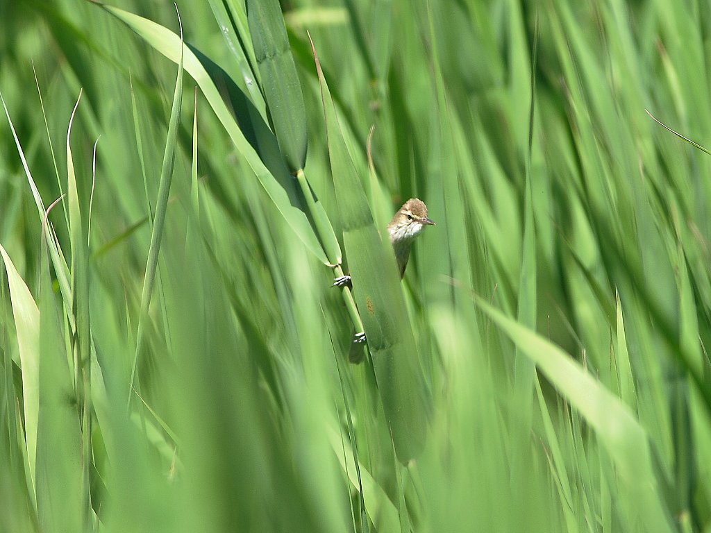 僕の居場所