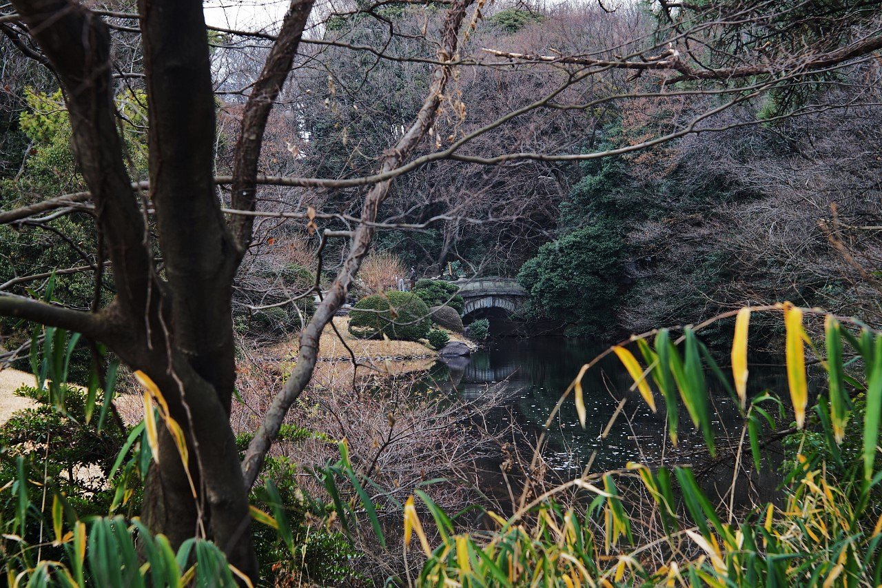 明治神宮にて