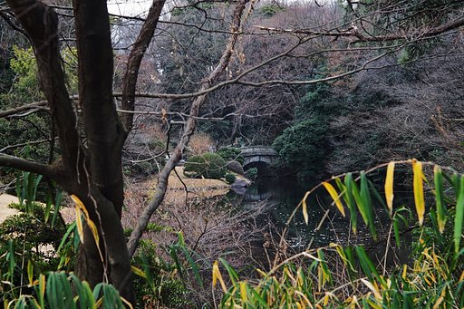 明治神宮にて