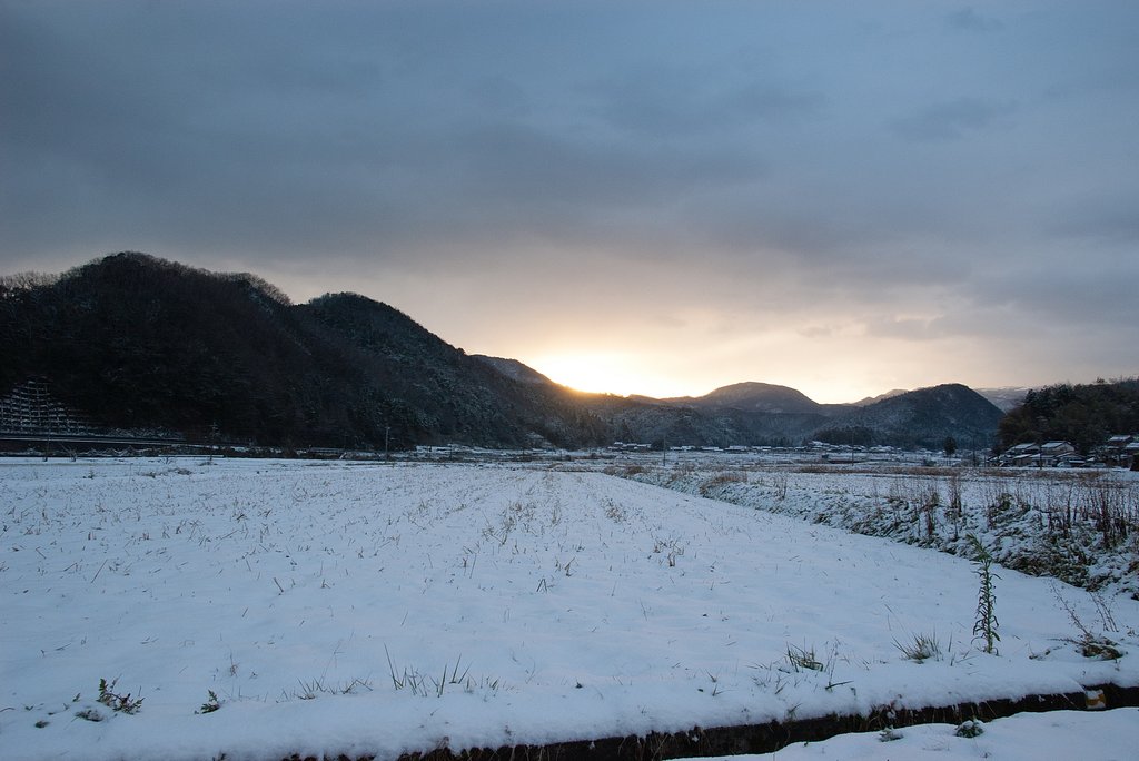 積雪です・・。