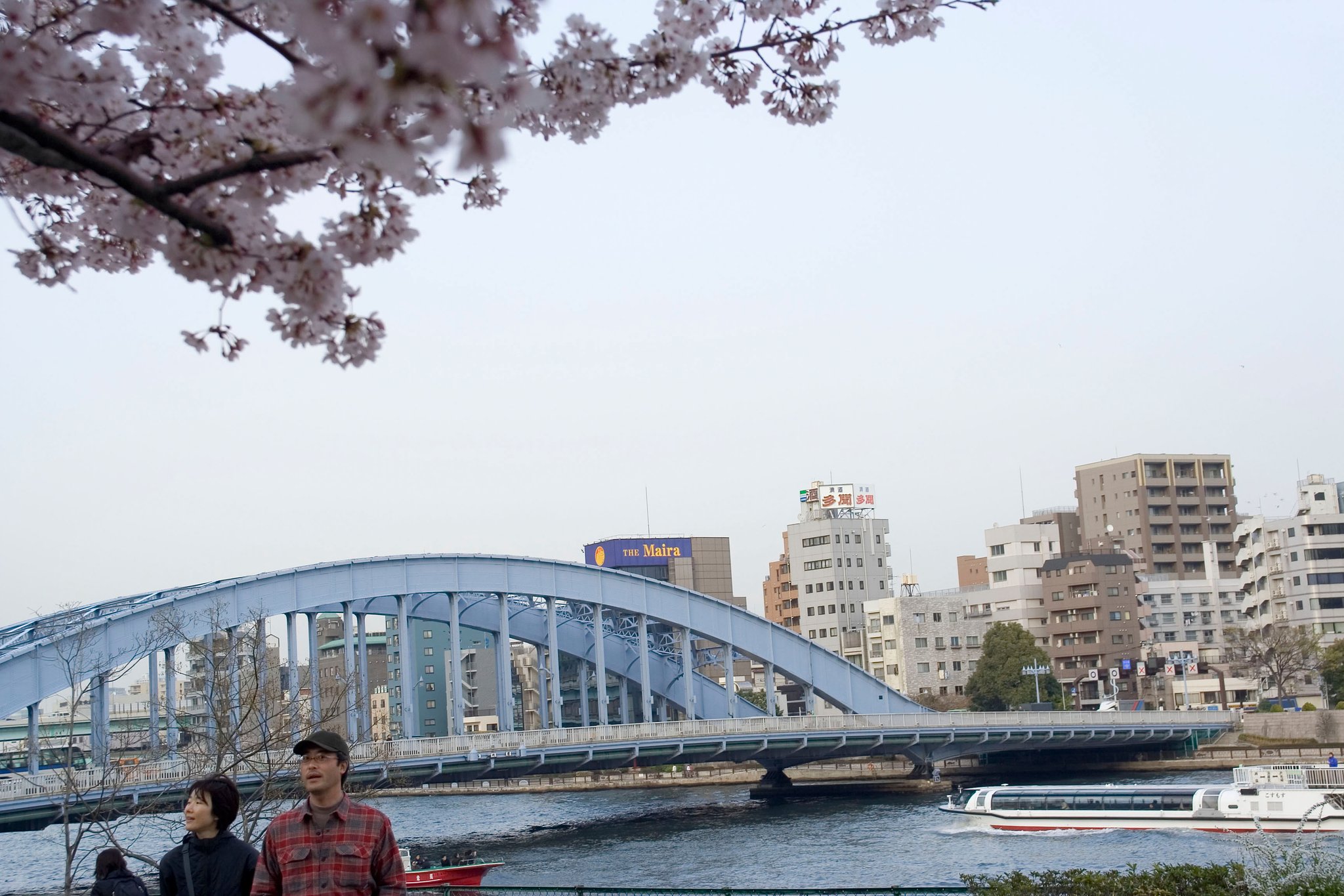 春の隅田川シリーズその２