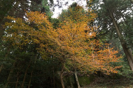 山寺１０