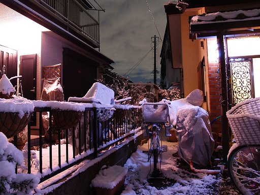突然の雪