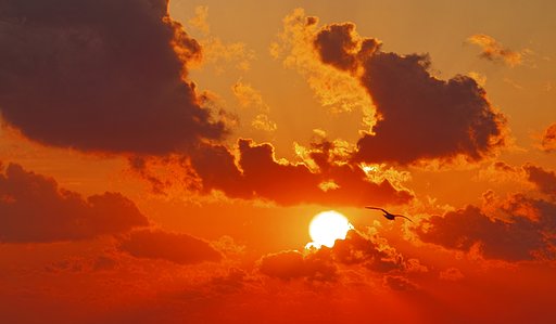 夕日