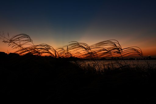光芒の夜明け