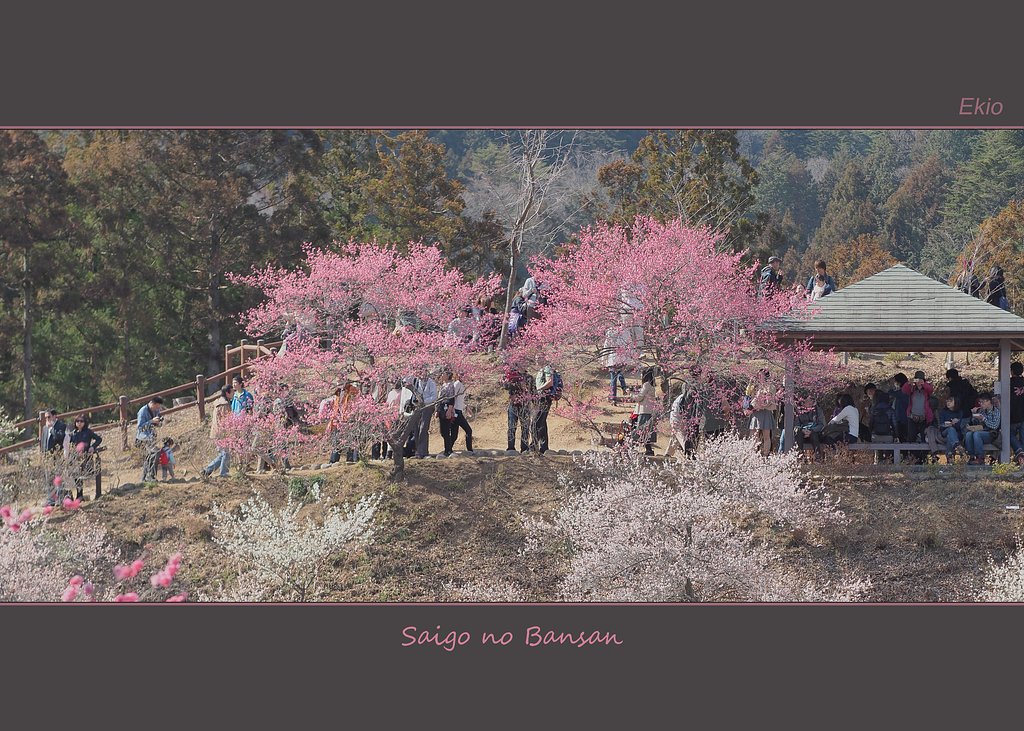 最後の晩餐