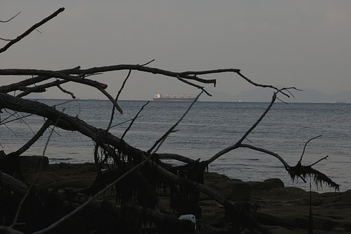 瀬戸の内海