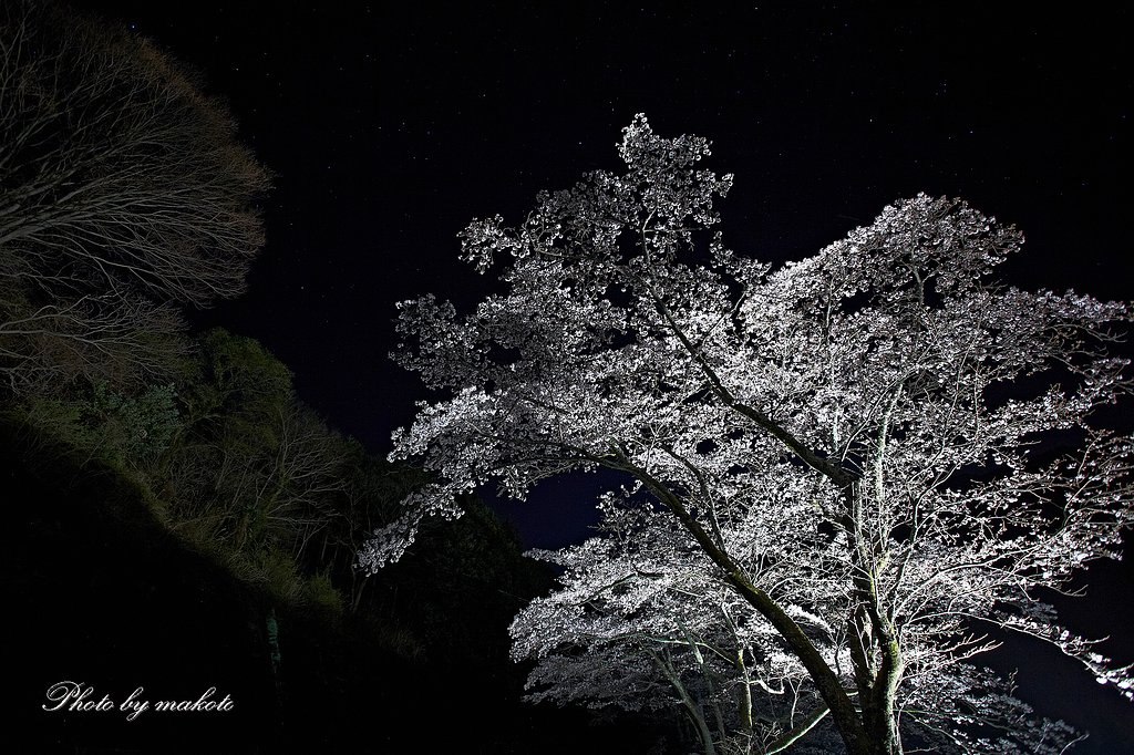 星空の下で