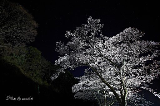 星空の下で