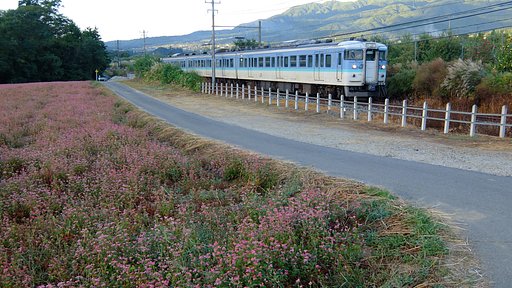 早朝に