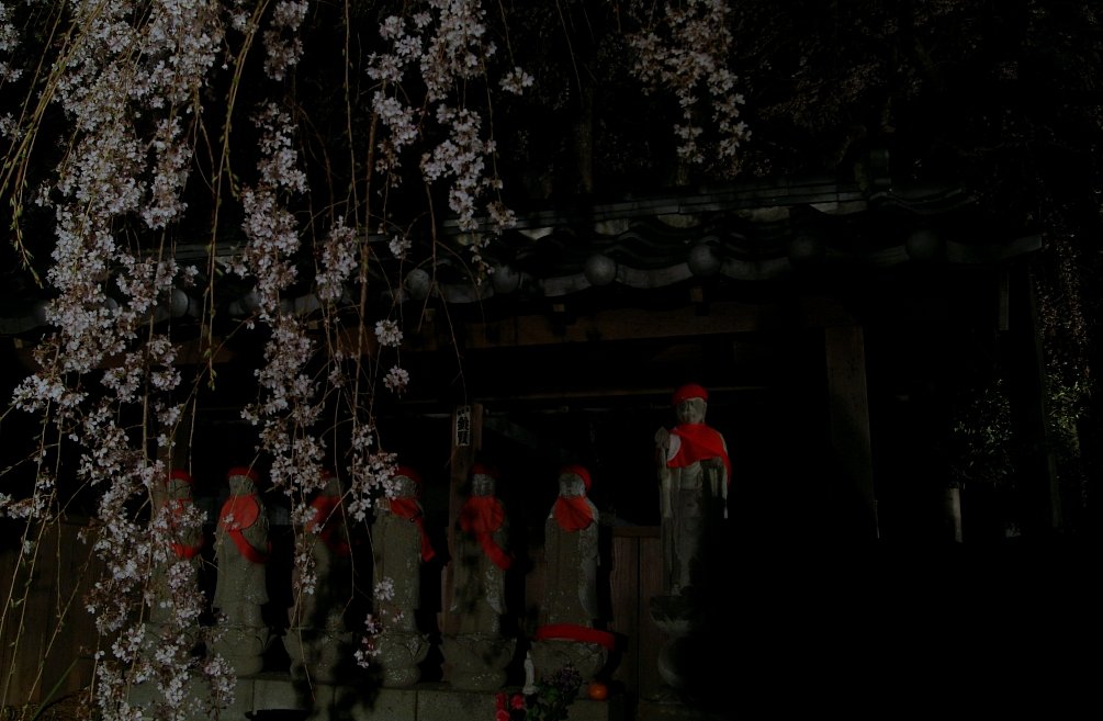 地蔵と夜桜