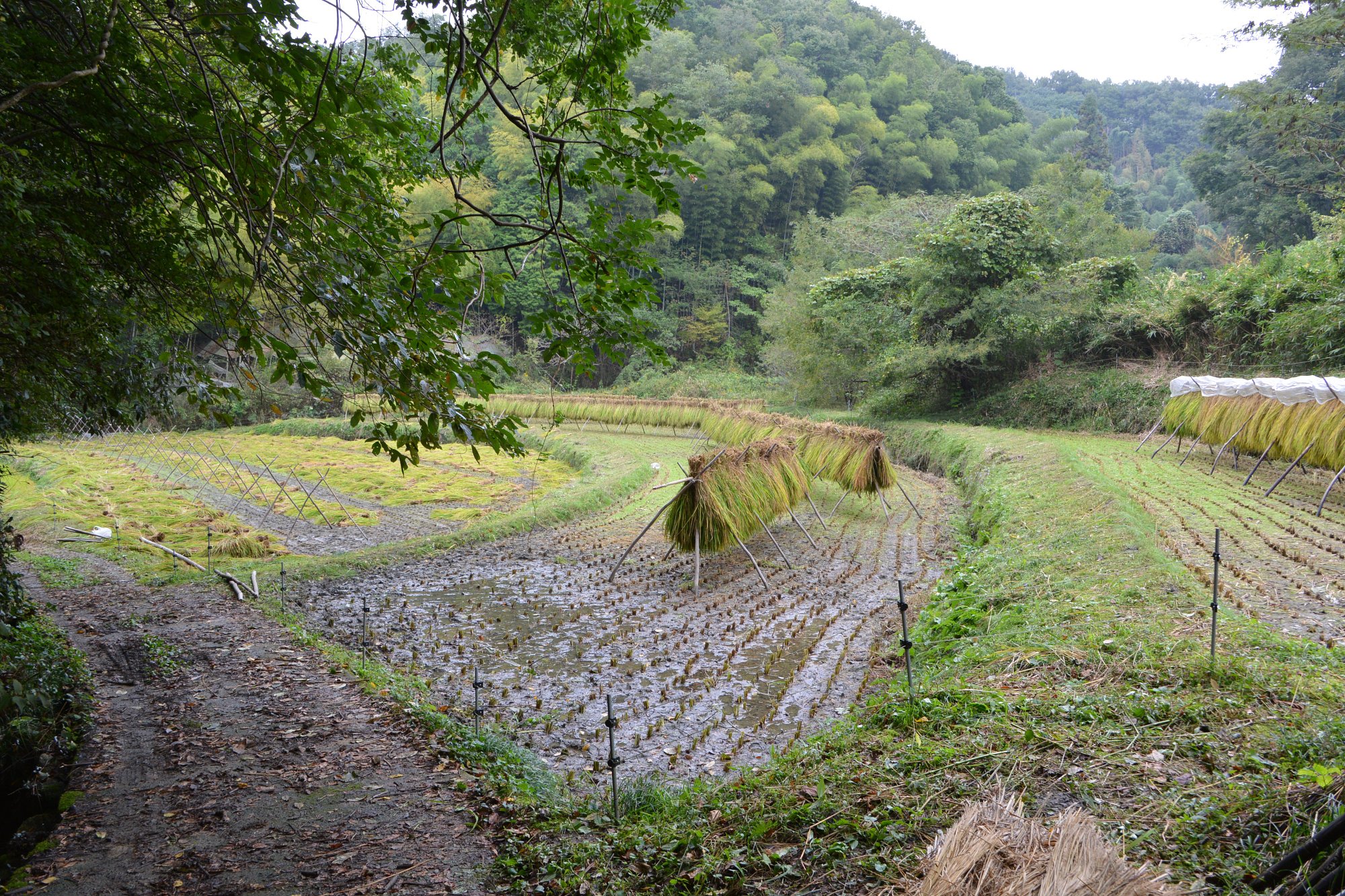 山間の風景２