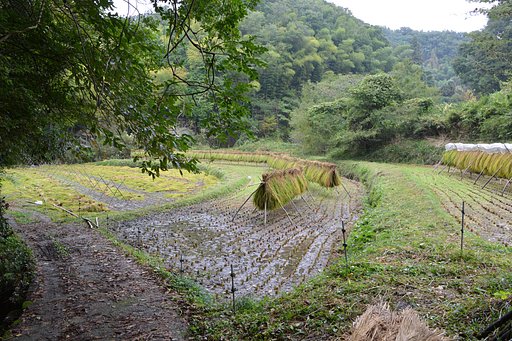 山間の風景２