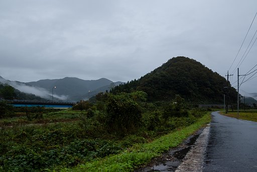 雨降りの朝。