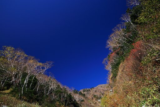 呼吸の行方