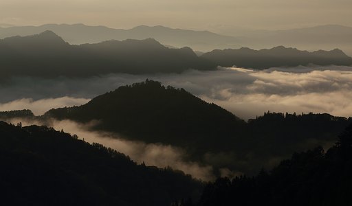 広津の大河