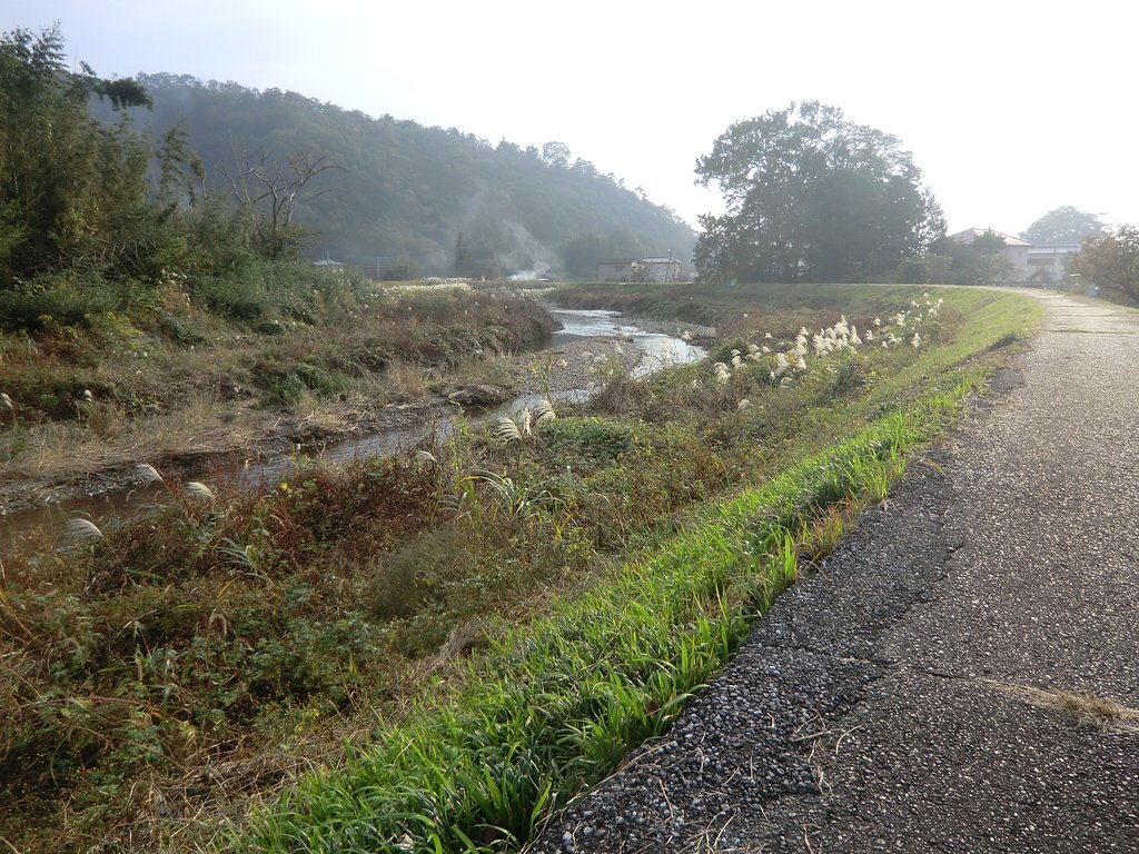 足利の川