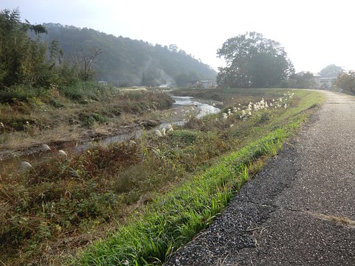 足利の川