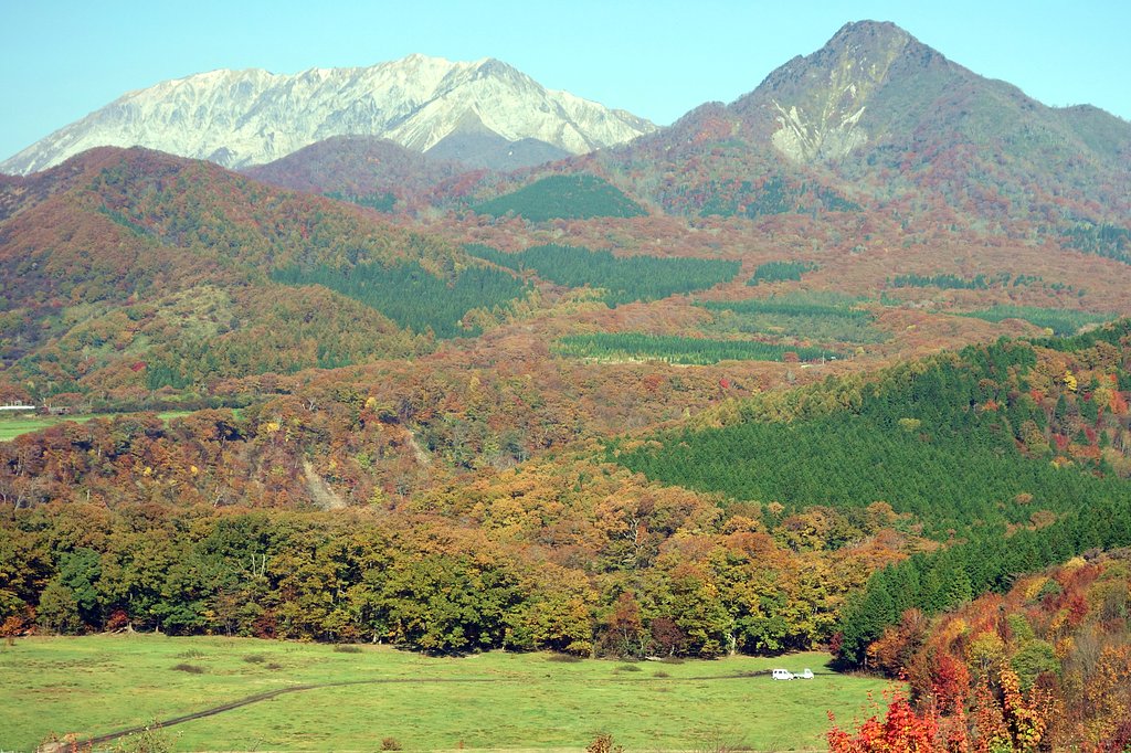山の紅葉
