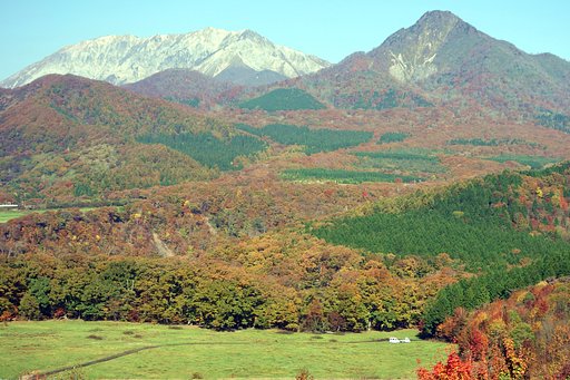 山の紅葉