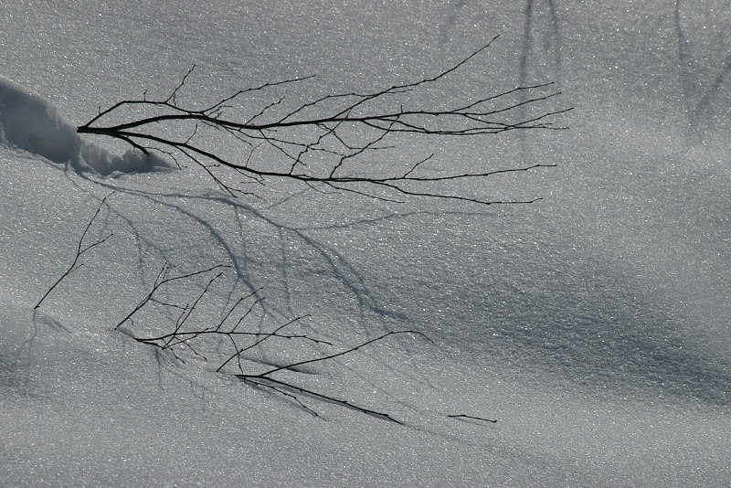 光る雪面に屈する