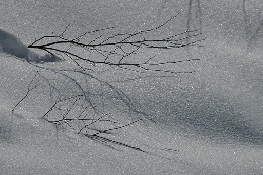 光る雪面に屈する
