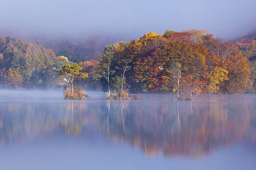 静かな湖畔