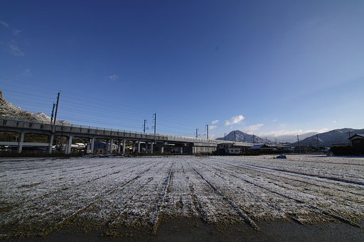 今朝の雪