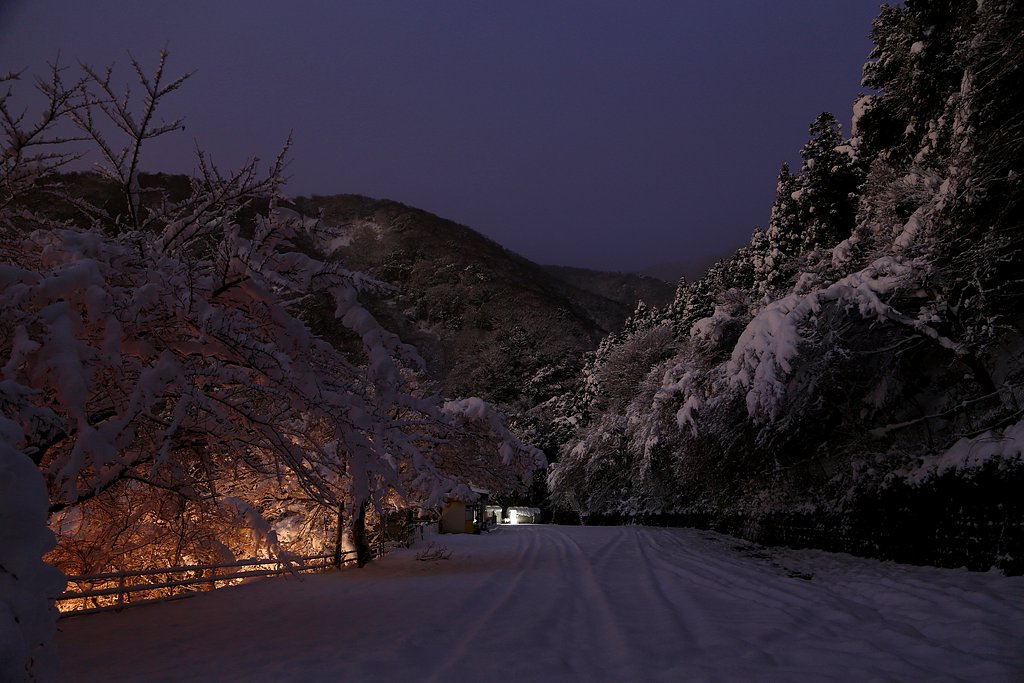 雪景色