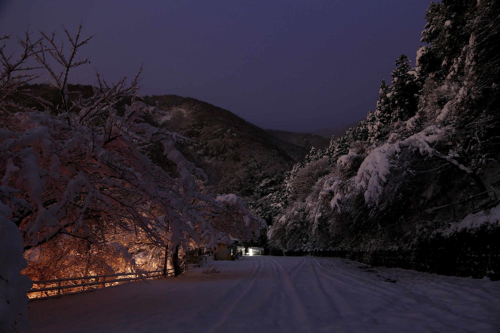 雪景色