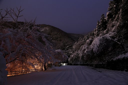 雪景色