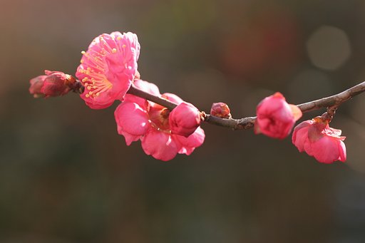 寒波に負けず～
