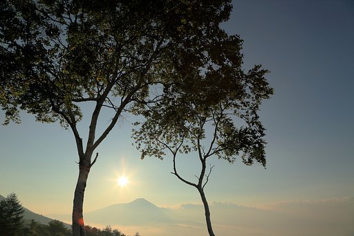 白樺越しの蓼科山