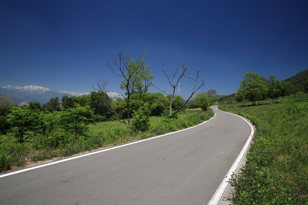夏の通り道