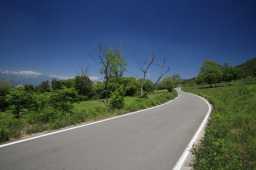 夏の通り道