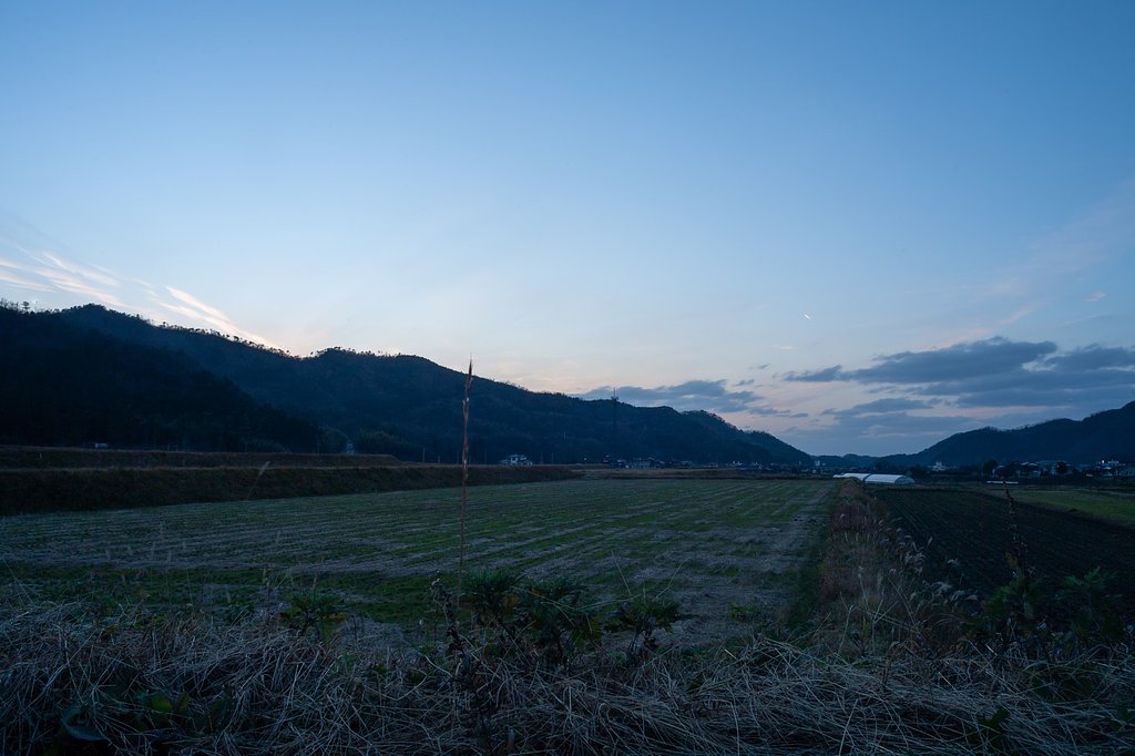 午後は良く晴れて・・。