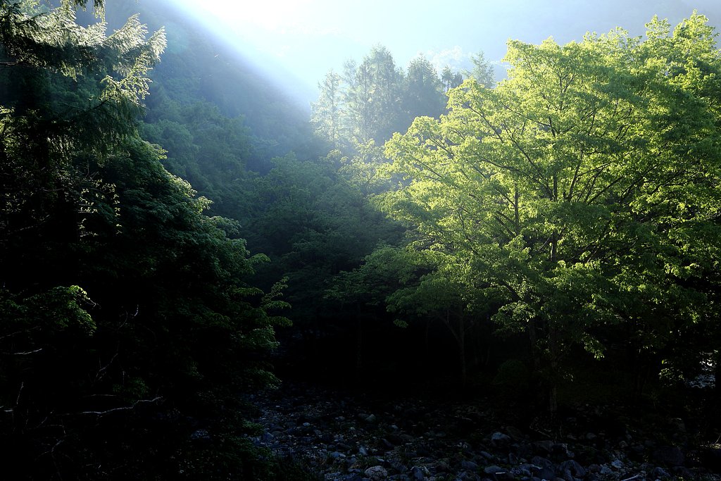 朝のコントラスト