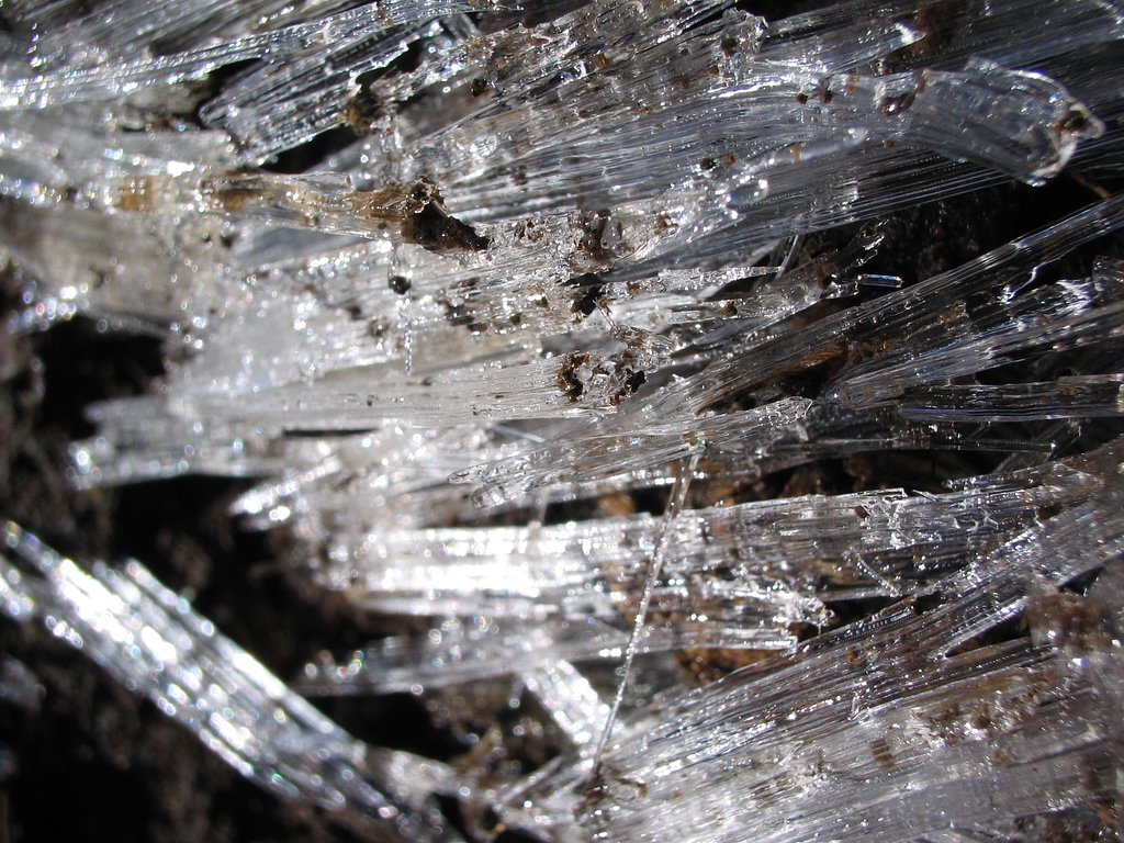 霜柱