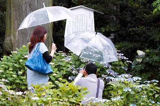 綺麗に撮ってネ