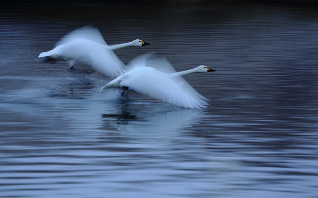 synchronize