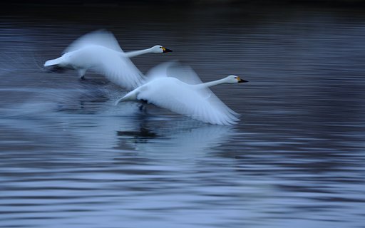 synchronize